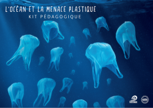 océan et menace plastique